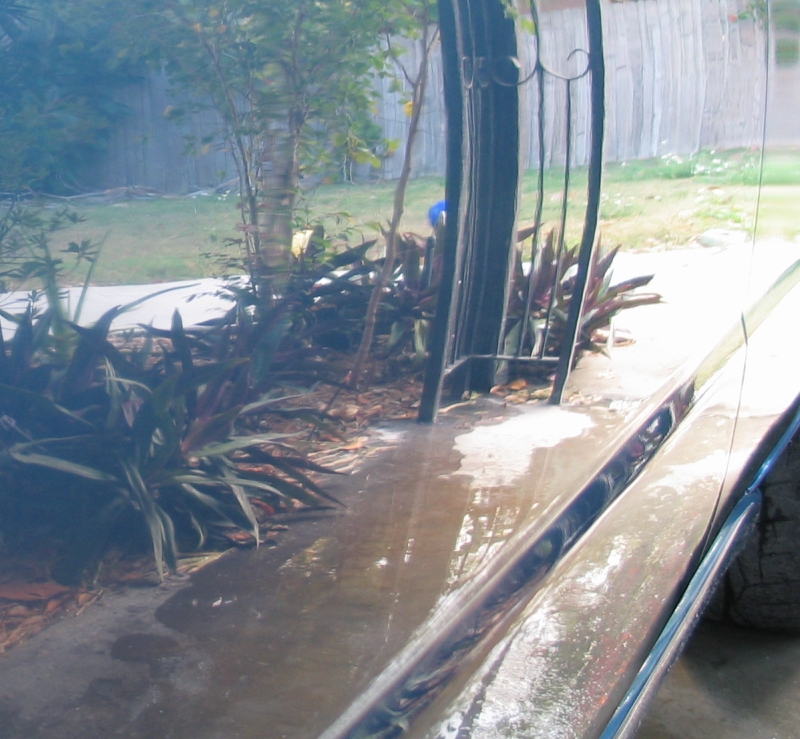 bad-clearcoat-after-coarse-compounding2.jpg